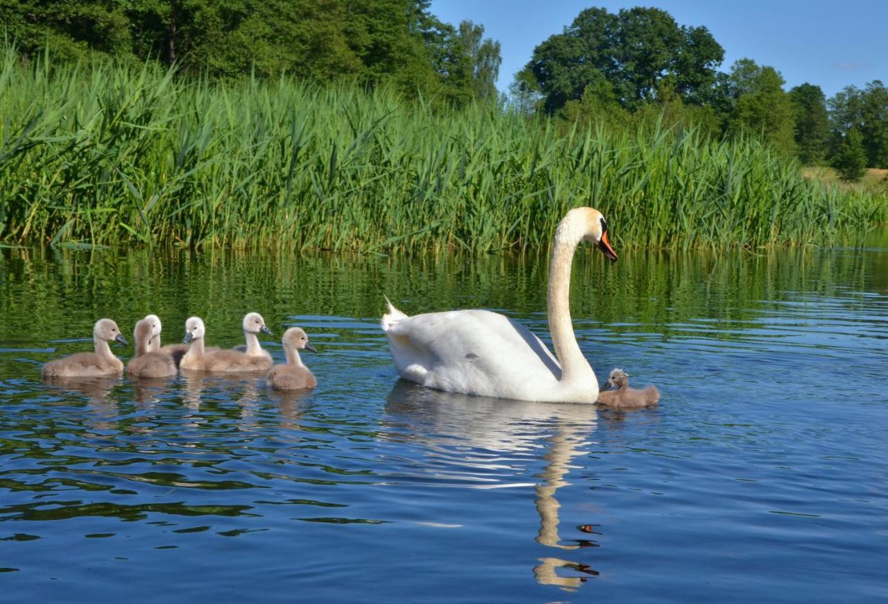 Jak Tu Ladnie - Osada I Siedlisko Mikołajki Esterno foto