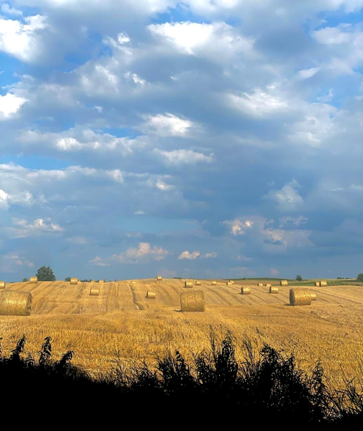 Jak Tu Ladnie - Osada I Siedlisko Mikołajki Esterno foto